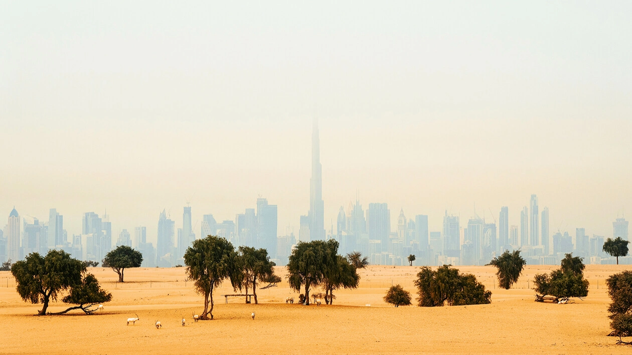 The History of Dubai. Its history is just a dream come true